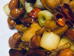 -张烤鸭·川菜·非遗冒烤鸭(青石桥店)