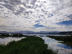 -洱海月湿地公园