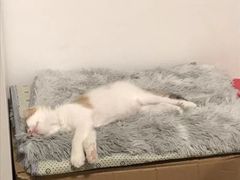 -畜牧兽医站(共江路店)