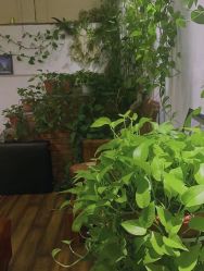 -新龙门刺青·纹身