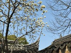 -惠山古镇·寄畅园