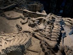 -自贡恐龙博物馆