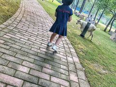 -上海佘山世茂艾美酒店