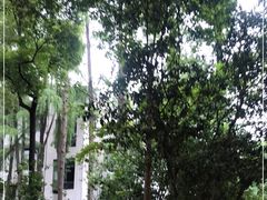 -华中科技大学同济医学院附属同济医院(汉口院区)