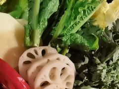 -小龙坎火锅(全球旗舰店)
