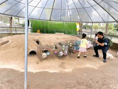 -前小桔亲子创意农场·草莓采摘·露营烧烤