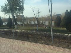 -银川河东国际机场