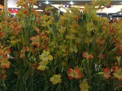 -顺旺基大厨现炒(凯德店)