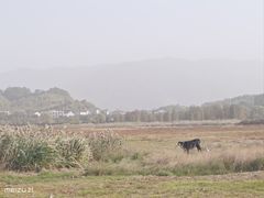 -四明湖