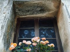 -枫泾古镇-人民公社旧址