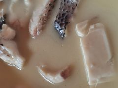 财鱼豆腐汤-刘胖子家常菜·蹄花焖藕(中南店)