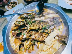 黄骨鱼焖豆腐/斤-来客家食府 · 福建客家菜(厦禾路店)