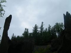 -峡谷浮石林景区