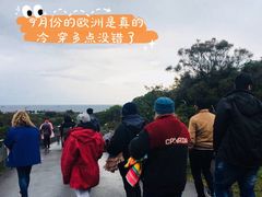 -企鹅岛