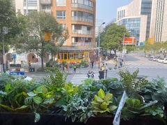 -Peet's Coffee皮爷咖啡(大学路店)