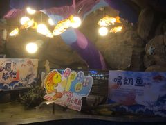 -烟台海昌鲸鲨海洋公园