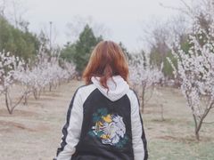 -云岗森林公园