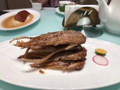 -新吉士·上海菜(浦东LCM置汇旭辉店)