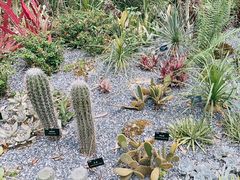 -中国科学院西双版纳热带植物园