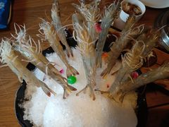 深水虾-尚海豆捞(乐虹坊店)