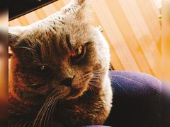 -Rabbit Cafe私房西餐甜点咖啡(栖霞路店)