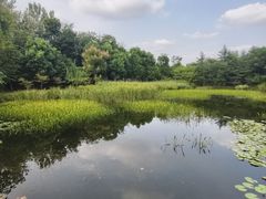 -白鹭湾湿地公园