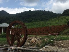 -广州市石门国家森林公园