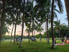 -万绿园