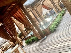 -叶叶菩提(旗舰店)