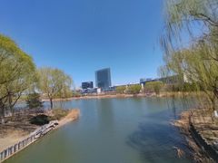 -大兴滨河森林公园