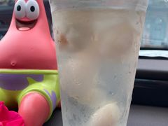 -喀斯特杨梅汤(荔波美食街店)