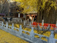 -潭柘寺景区