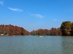 -上海海湾国家森林公园