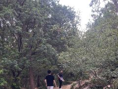 -虞山风景区