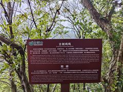 -綦江古剑山