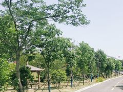 -洪泽湖古堰景区