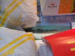 -麦当劳(北京大兴机场二层国内到达(安检外)店)