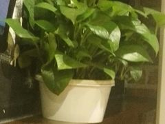 -管氏翅吧(广渠门店)