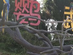 -青岛森林野生动物世界
