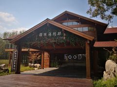 -黄海国家森林公园