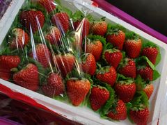 -山与蓝·轻糖鲜果蛋糕(勒泰店)