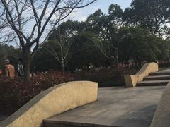 -新江湾城公园