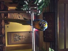 那家小馆(中关村店)-那家小馆•北京菜•烤鸭(中关村店)