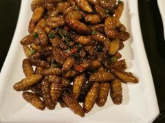 -土蚝·高压锅生蚝(百姓美食街店)