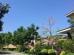 -广州都喜泰丽温泉度假酒店