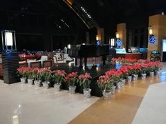 -三亚湾海居铂尔曼度假酒店