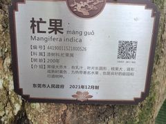 -清溪大王山森林公园