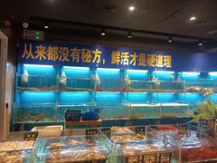 -九月海·海鲜自助(世纪东方店)