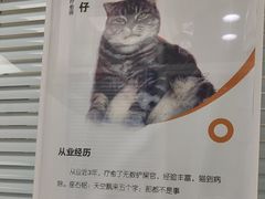 -全心全意连锁动物医院·微创中心·内科急重症·心脏专科(丰管路店)
