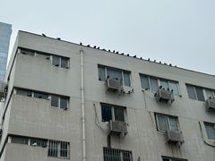 -九河居(荔湾路店)